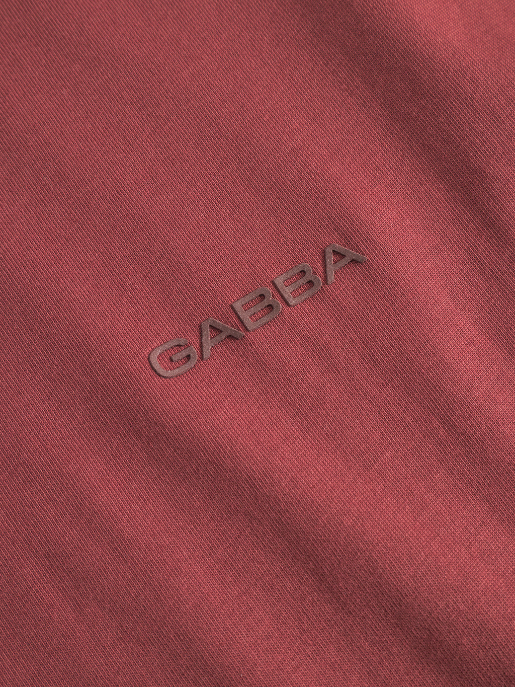 Close-up of the Gabba Dune Logo SS GOTS t-shirt in Red Russet, featuring GABBA embroidered in raised dark letters at the center. The organic GOTS-certified cottons texture is visible.