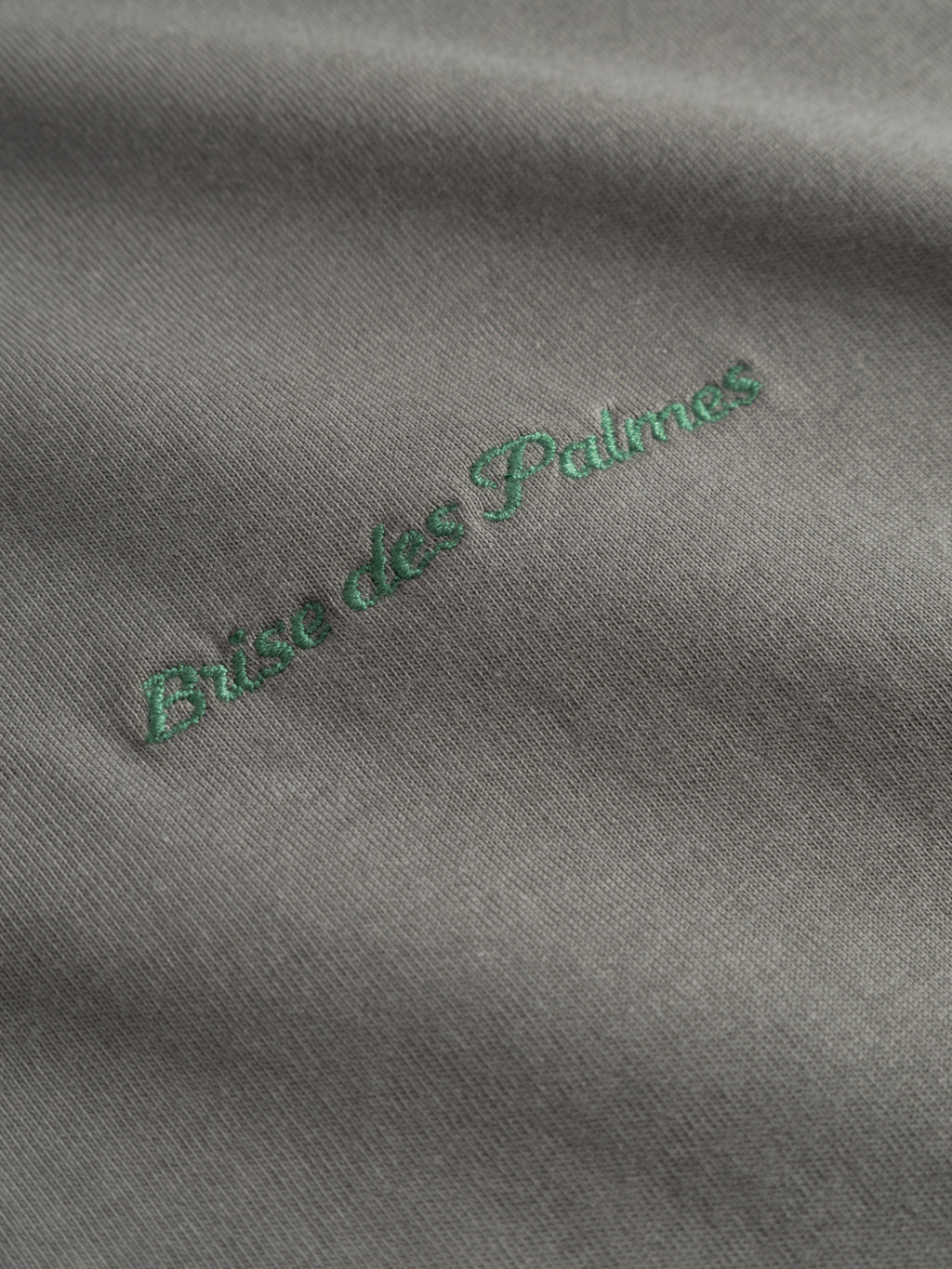 Close-up of Gabba's GABnigel NBH SS T-Shirt GOTS in Castor Gray, featuring green 